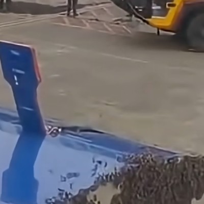 Bienenschwarm an der Frachttür: Der Flug konnte am 7. Juli erst eine Stunde später starten.