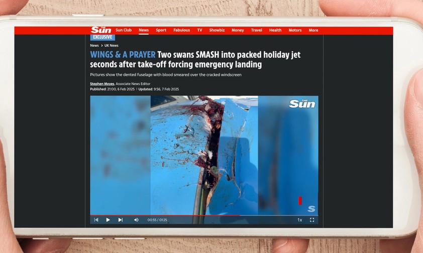 Boeing 737 Max nach dem Zusammenprall mit Schwänen: Die Reisenden kamen dennoch ans Ziel.