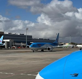 Tuifly-Flugzeuge am Flughafen Las Palmas: Die Airline soll künftig mehr sein als nur der Hotelzubringer.