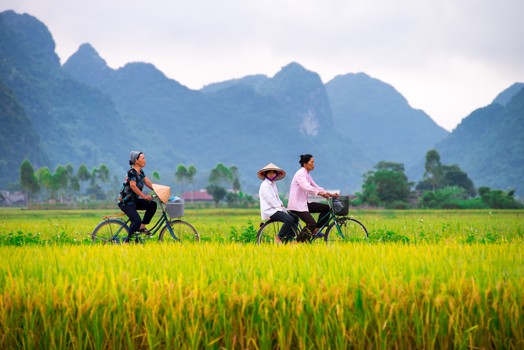 Vietnam
