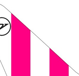 ticker-condor-pink