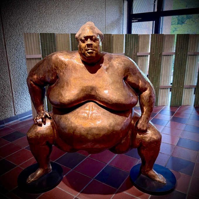 Fukuoka FAAM Sumo Ringer