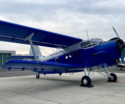 Die Antonov An-2 mit dem Kennzeichen D-FOKY am ...