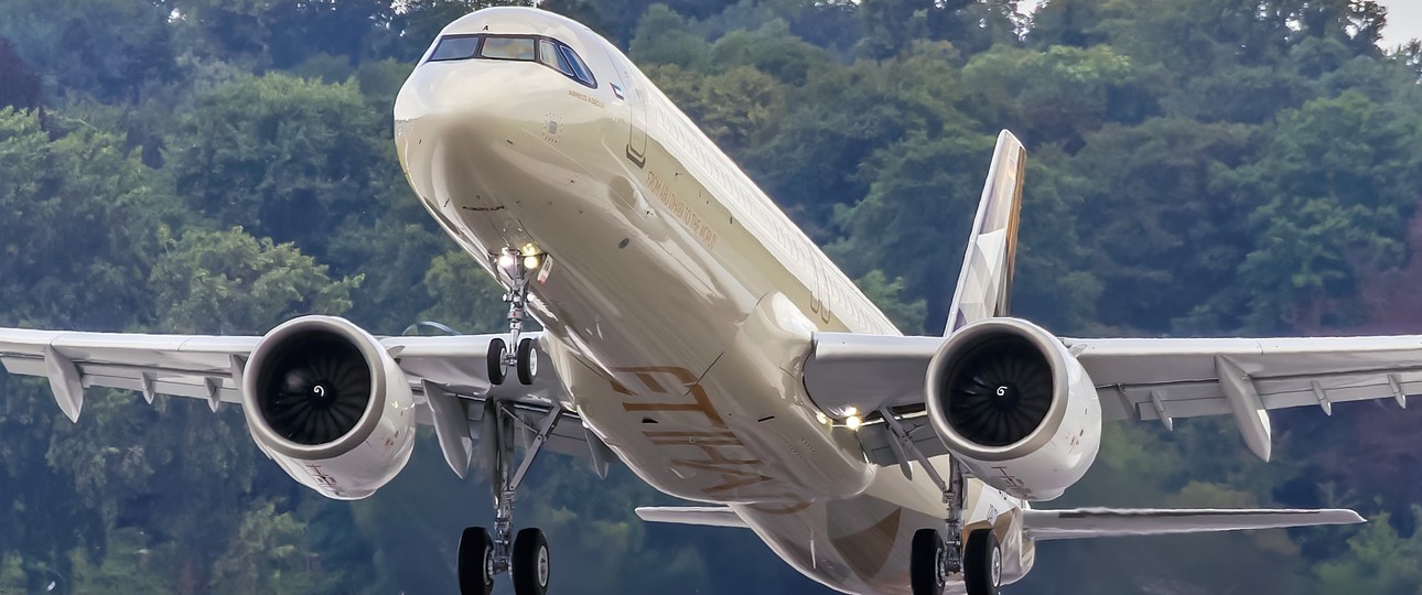 Airbus A321 LR von Etihad Airways: Trägt Lack mit leichtem Glitter-Effekt.