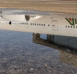 Flieger von Alitalia spiegelt sich in einer Pfütze: Wer bekommt die Fluggesellschaft?