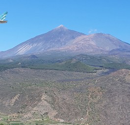 Airbus A319 von Lattitude beim Vulkan Teide: Start mit neuem Namen.