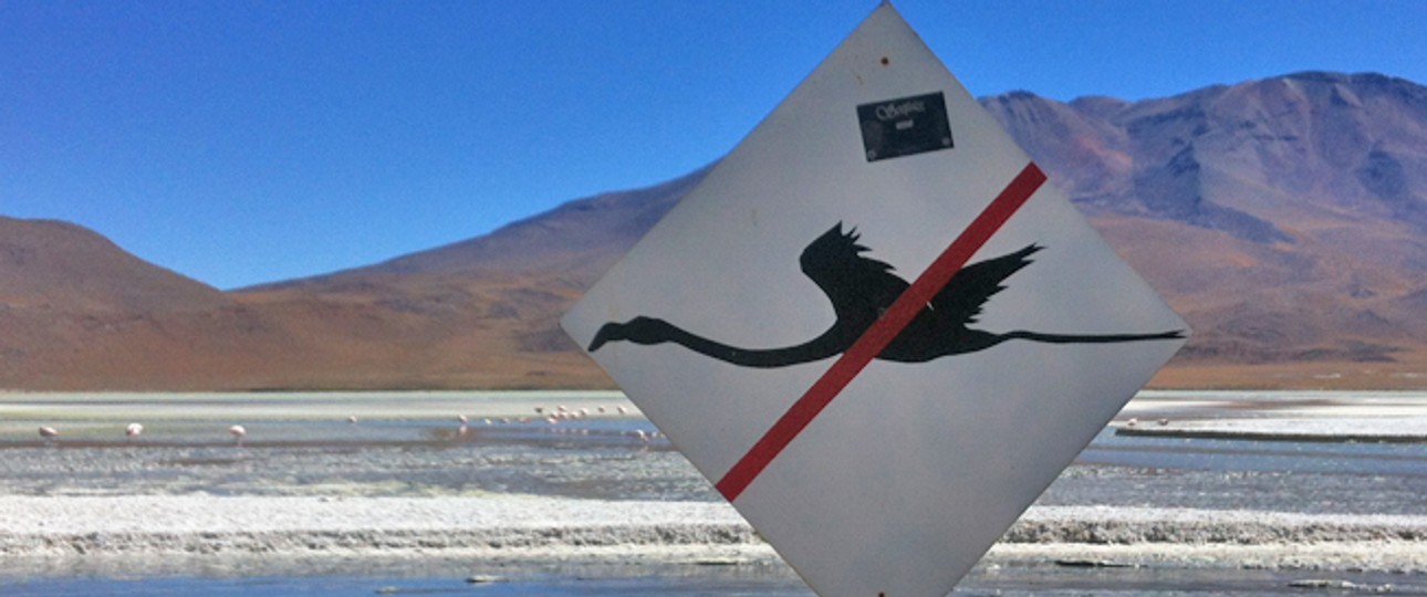 Flamingo-Schild in Südamerika: Auch so eins hätte den Crash in Montpellier kaum verhindert.