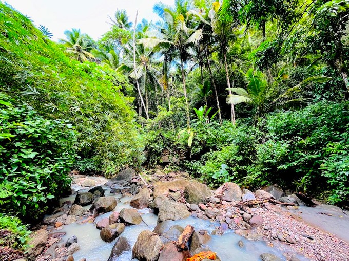 St-Lucia Jungle Biking an der Anse Mamin