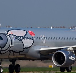 Niki-Jet: Wie geht es weiter mit der Airline?