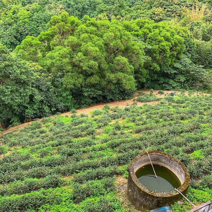 Taiwan Maokong Mountain Teegarten