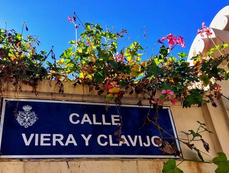 Starke Strecke Santa Cruz de Tenerife: Calle Viera y Clavijo.