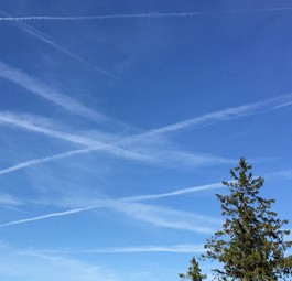 Fliegen: Sehen die meisten weiterhin positiv.