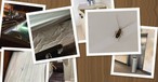 Bilder von Gästen des Swiss-Crewhotels: Die Airline zieht aus. 