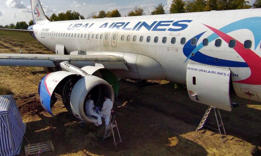 Airbus A320 im Weizenfeld: Die Airline trug laut dem Piloten eine Mitschuld.