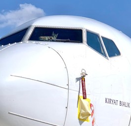 Katze im Flieger: Das Tier besetzte das Cockpit einer El Al Boeing 737.