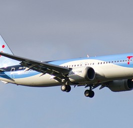 Die Boeing 737 Max 8 mit dem Kennzeichen PH-TFP beim Anflug RWY11 auf Wien ...
