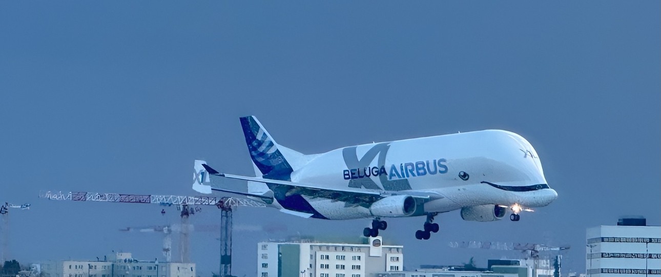 Ein Airbus Beluga XL bei der Landung in Toulouse: Derzeit nicht zu beobachten.