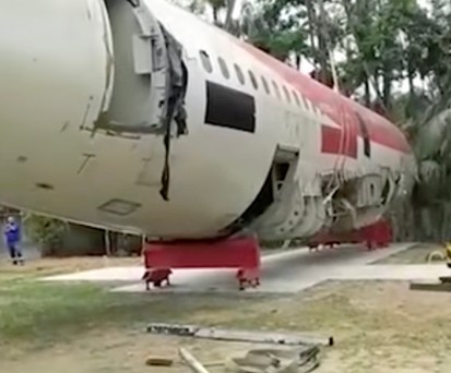 Ehepaar stellt sich Airbus A318 in den Garten