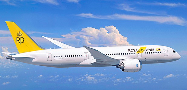 Neue Bemalung: RB statt Staatswappen auf dem Seitenleitwerk des Dreamliners.