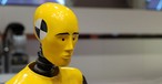 Crash-Test-Dummy: Normalgewicht reicht nicht.