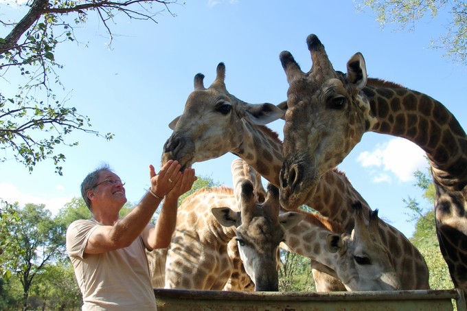 Der Autor freut sich über die freundlichen Giraffen