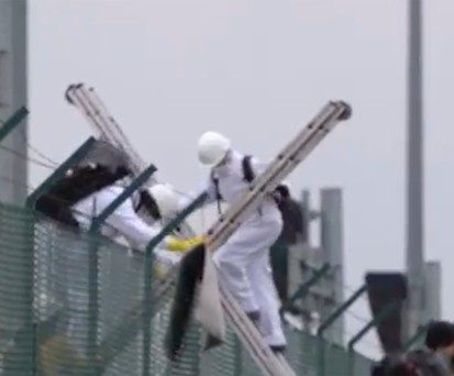 Die Aktivisten von Greenpeace übersteigen den Zaun zum Flughafengelände.