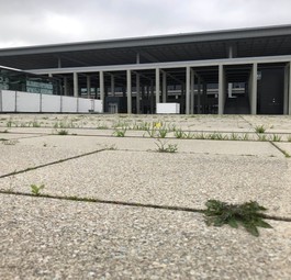 Gebäude am BER: Am 31. Oktober soll hier alles funktionieren.