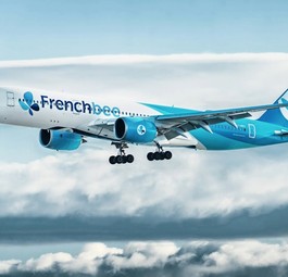 Die F-HREY von French Bee: Der Airbus A350-900 war nun einen Unfall verwickelt.