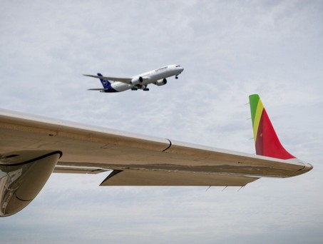 Tap und Lufthansa: Kommt es zum Kauf der Anteile? 