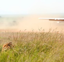 Angama Airstrip: Momentan gibt es nur die Piste.