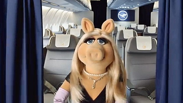 Miss Piggy: Großer Auftritt an Bord.