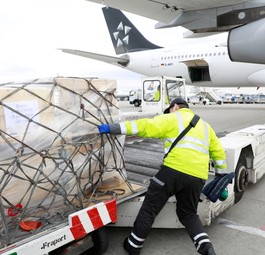 Vorfeldmitarbeiter beladen ein Flugzeug: Die Luftahrtbranche in Deutschland braucht Mitarbeitende aus dem Ausland.