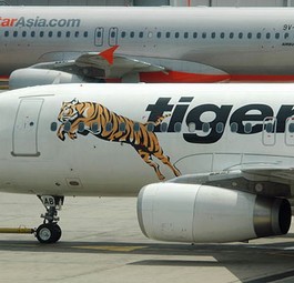 Tiger Airways: Wesentlich pünktlicher als Billig-Konkurrent Jetstar.