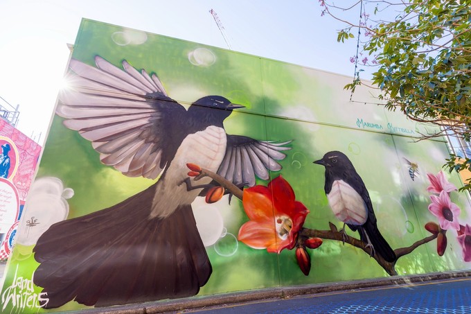 Queensland Mural Birds