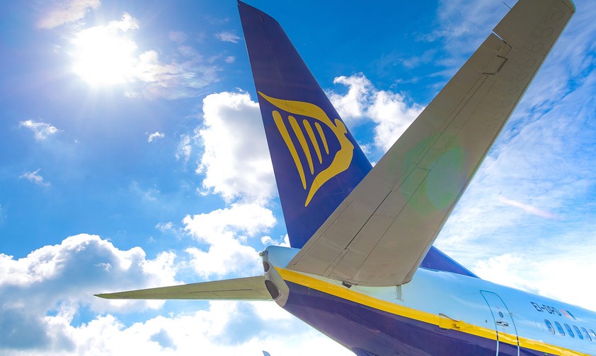 Ryanair-Flieger: Eine Katze hielt die Airline in Rom auf Trab.