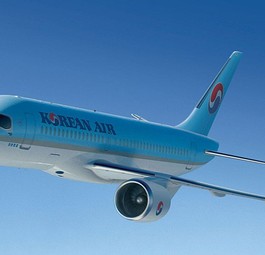 A220-300 von Korean Air: Einer der Flieger wird derzeit untersucht.
