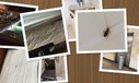 Bilder von Gästen des Swiss-Crewhotels: Die Airline zieht aus. 