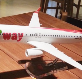 Modell einer Boeing 737 von T'Way Air: Die Fluglinie sucht größere Flugzeuge.