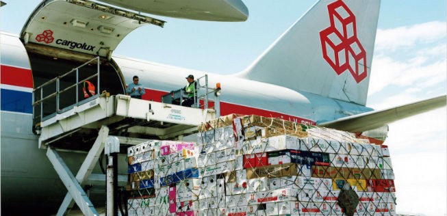Frachter von Cargolux: Er bringt die Blumen ans Ziel.