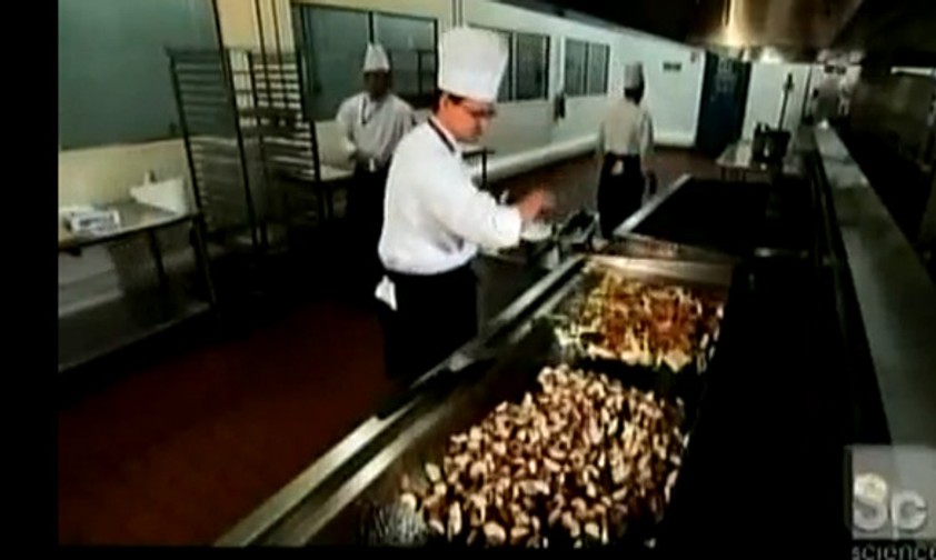 An Riesengrills braten die Köche das Fleisch.