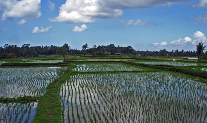 9. Rang: Indonesien, 53,7 Millionen Passagiere 2011, Wachstum 11 Prozent - Resifeld.