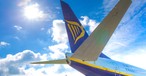 Ryanair-Flieger: Eine Katze hielt die Airline in Rom auf Trab.