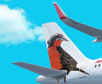 Flieger von Jetsmart: Die Airline dekoriert die Leitwerke mit südamerikanischen Tierarten.