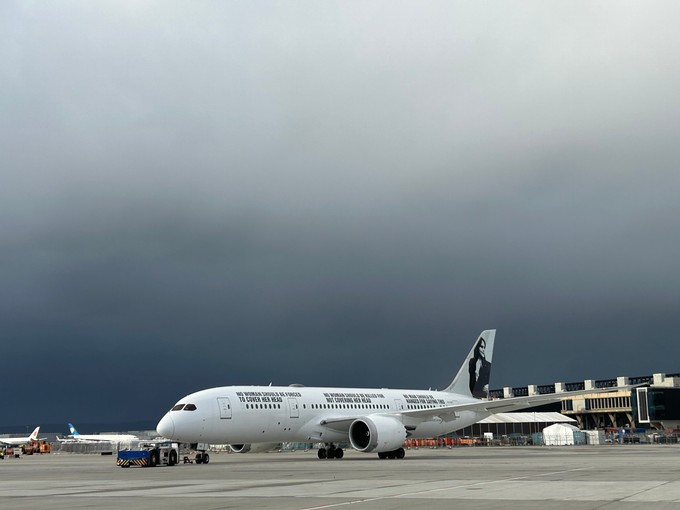 Der Dreamliner von Enrique Piñeyro am 13. Januar in Frankfurt.
