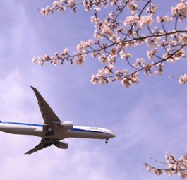 Das sind die Airlines, die bereits fünf Sterne bei Skytrax haben: All Nippon Airways, Japan.