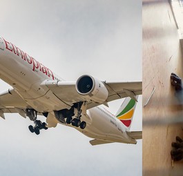 Ein Airbus A350 von Ethiopian Airlines: Die Fluglinie soll Hunderte Affen in die USA geflogen haben.