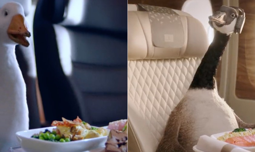 Dave und Gerry: Besser Air New Zealand oder Emirates?