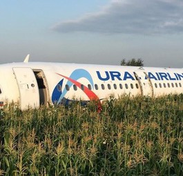 The A321 of Ural Airlines in the corn field.