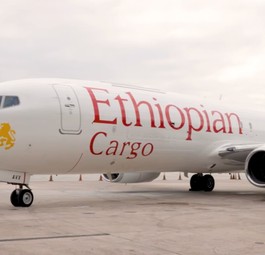 Boeing 737-800 F von Ethiopian Cargo: Das Flugzeug musste zurück, weil eine Person nicht nach Israel fliegen darf.