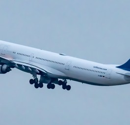 Airbus A340 von Lufthansa mit Spiegelei: Einige behalten ihre Bemalung.